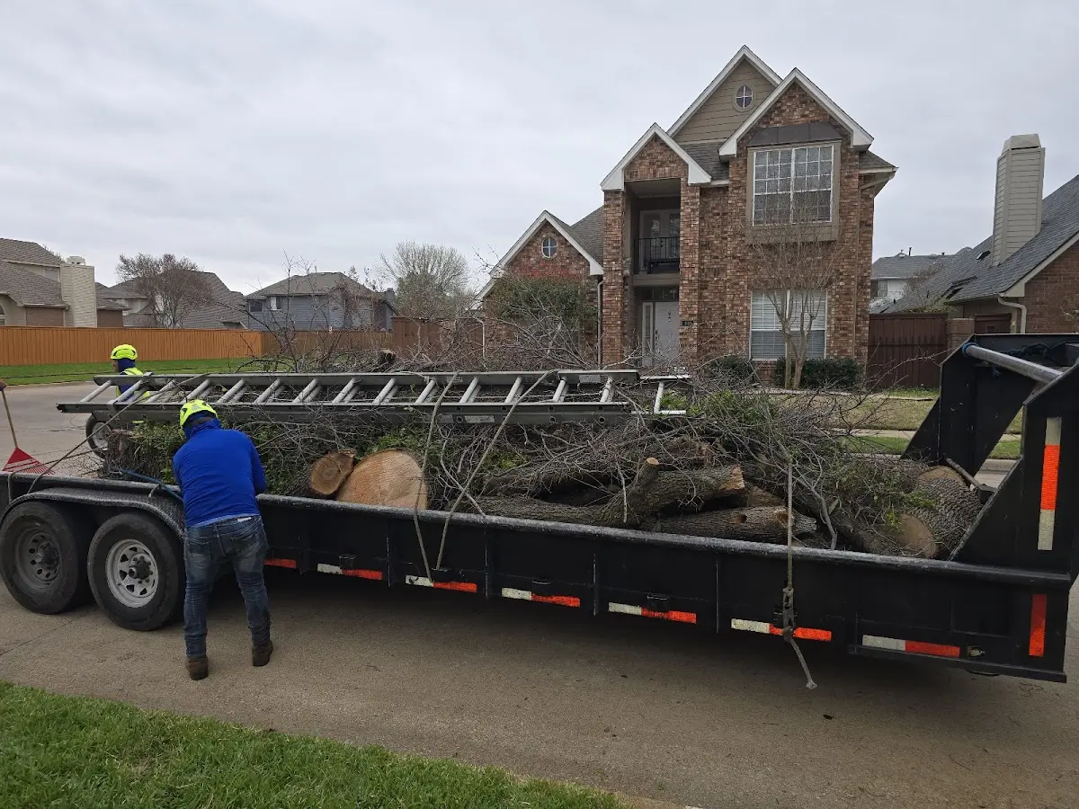 Expert Tree Fertilization with proper safety equipment in Redfox